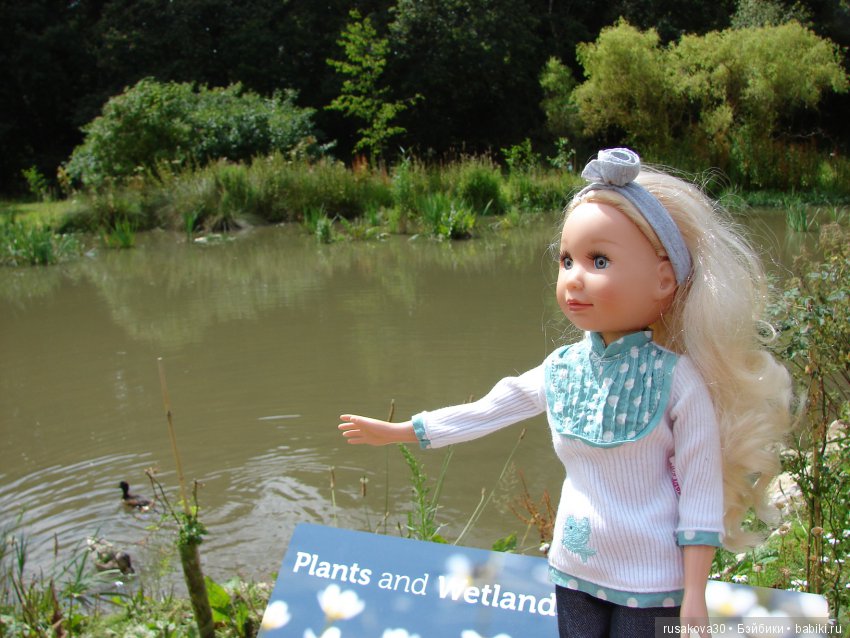 Маленький заповедник для птиц (фото 6)