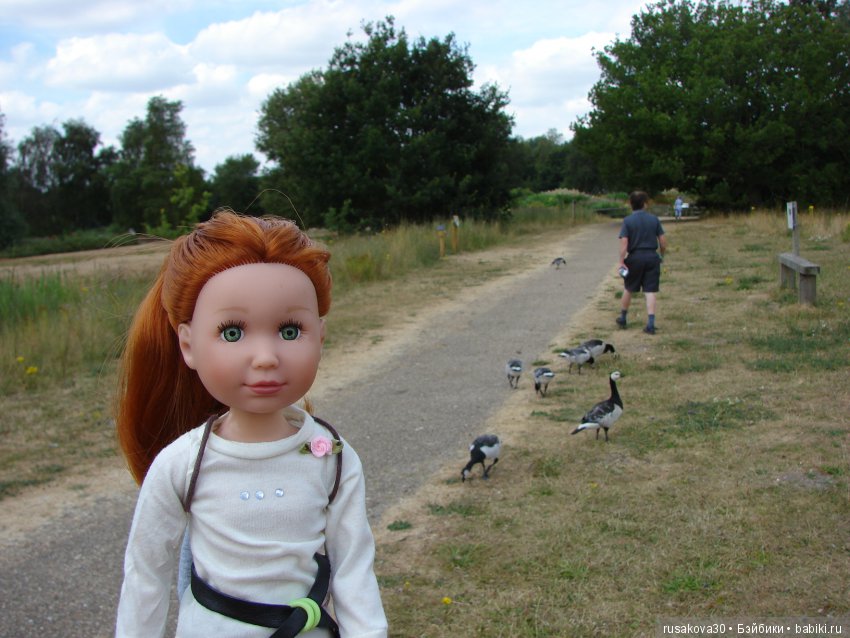 Маленький заповедник для птиц (фото 8)