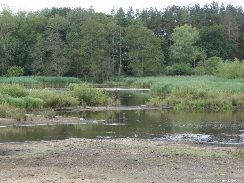 Маленький заповедник для птиц