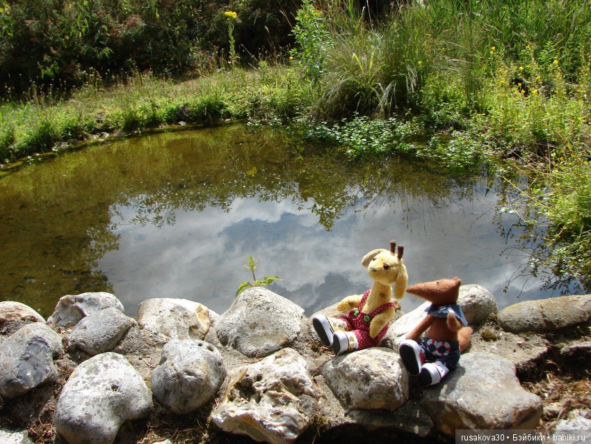 Маленький заповедник для птиц