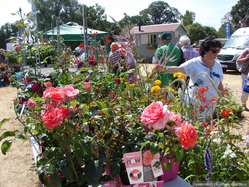 Цветочная ярмарка в королевском поместье