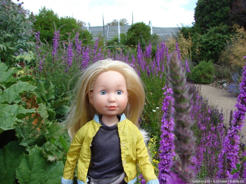 Маленький заповедник для птиц (фото 2)