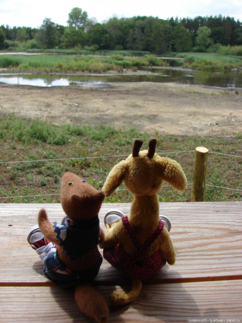 Маленький заповедник для птиц