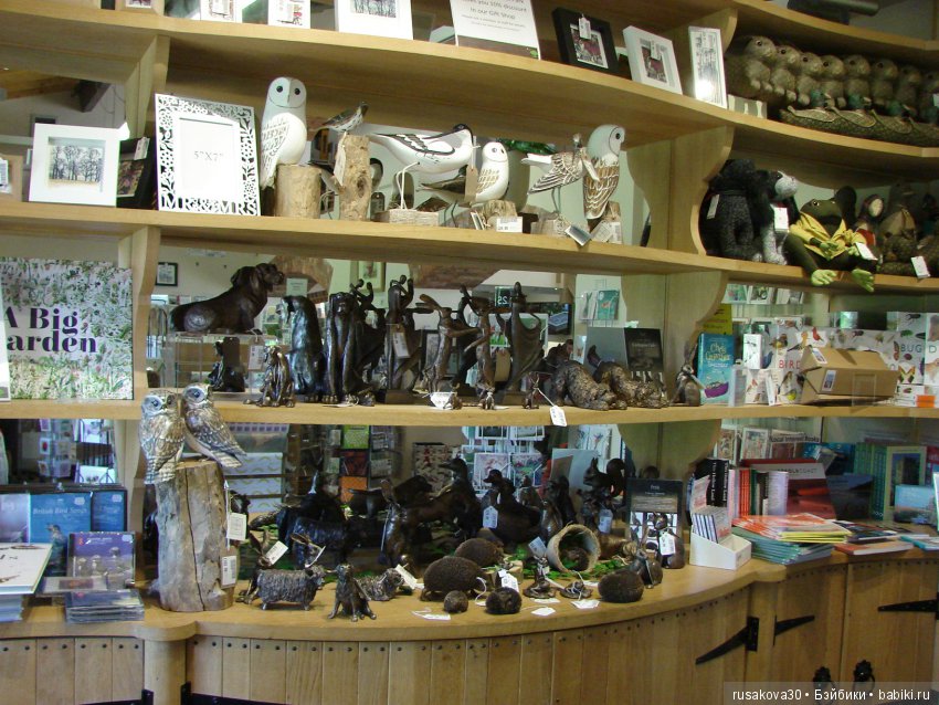 Маленький заповедник для птиц