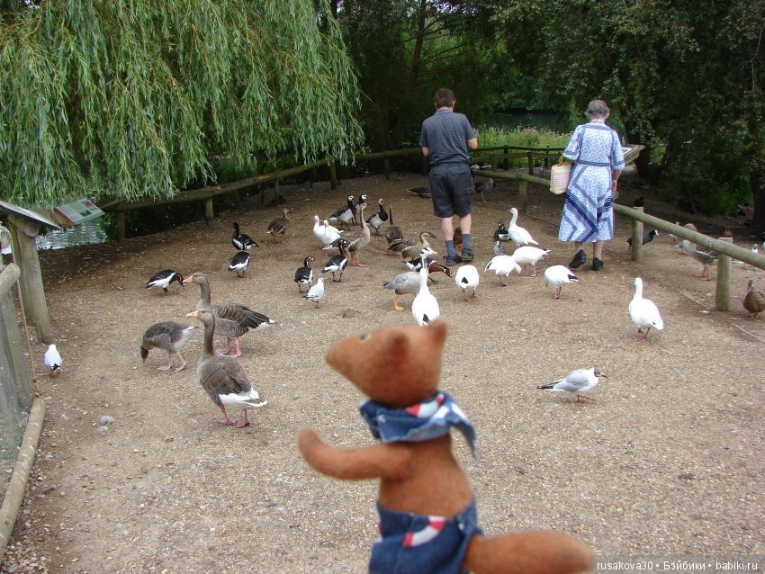 Маленький заповедник для птиц