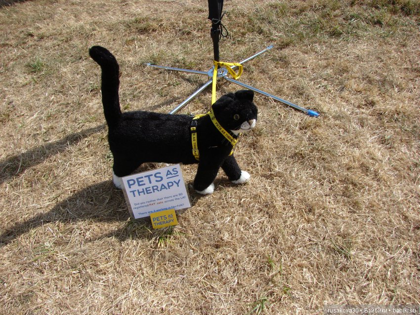 Цветочная ярмарка в королевском поместье