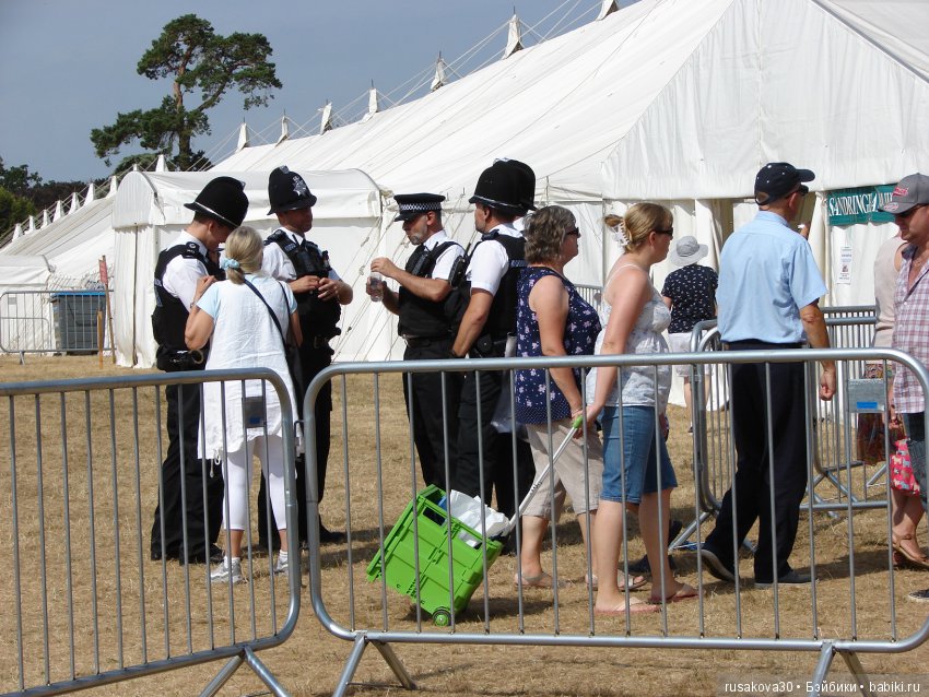 Цветочная ярмарка в королевском поместье (фото 3)