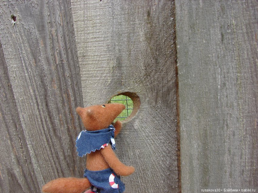 Маленький заповедник для птиц