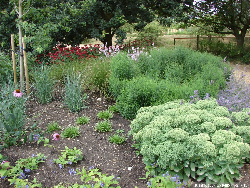Маленький заповедник для птиц