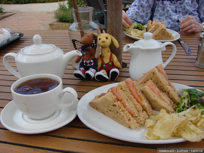 Маленький заповедник для птиц