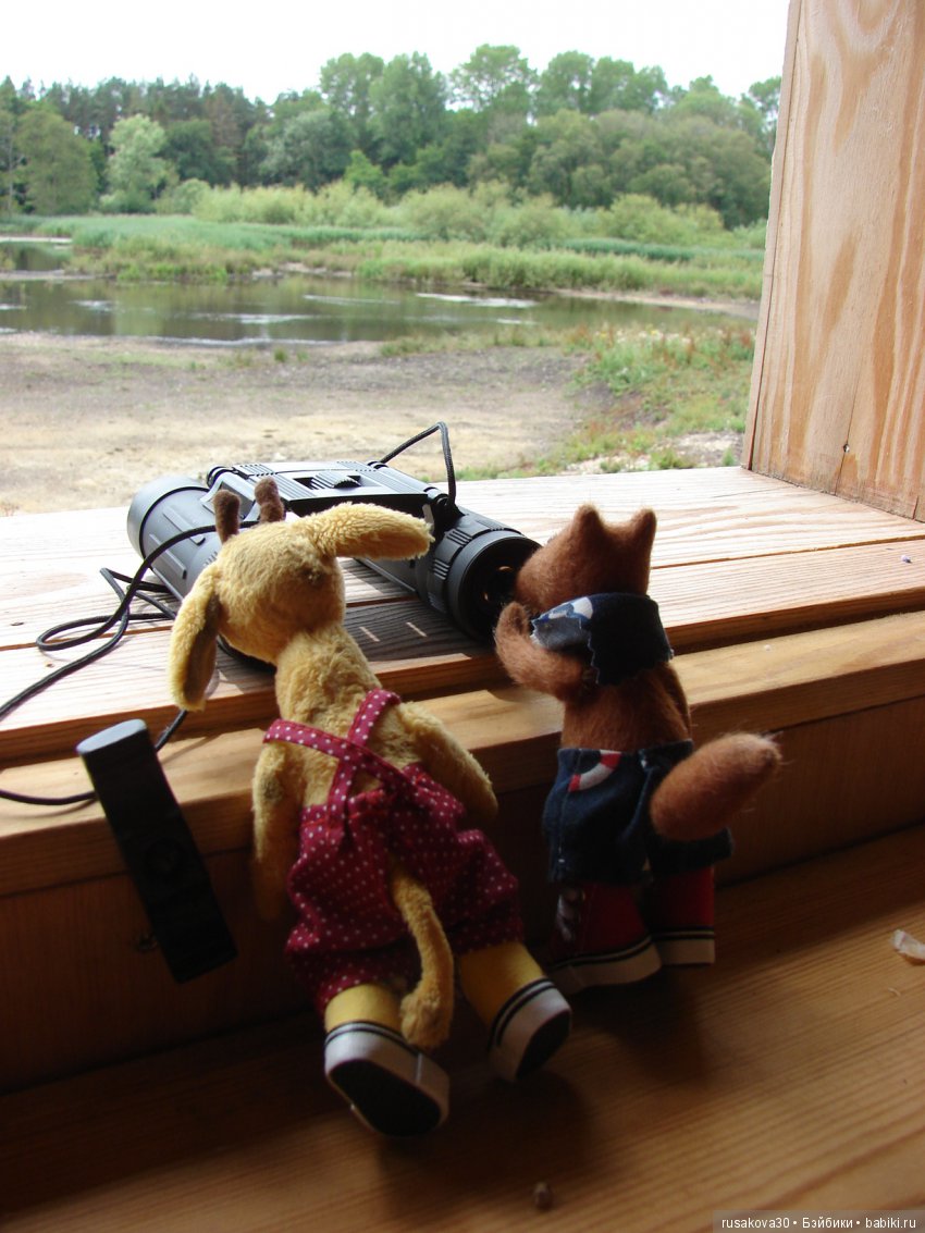 Маленький заповедник для птиц (фото 10)