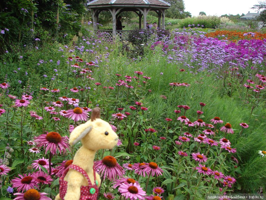 Маленький заповедник для птиц