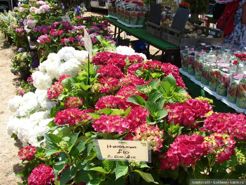 Цветочная ярмарка в королевском поместье