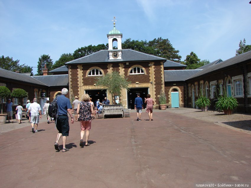 Цветочная ярмарка в королевском поместье (фото 7)