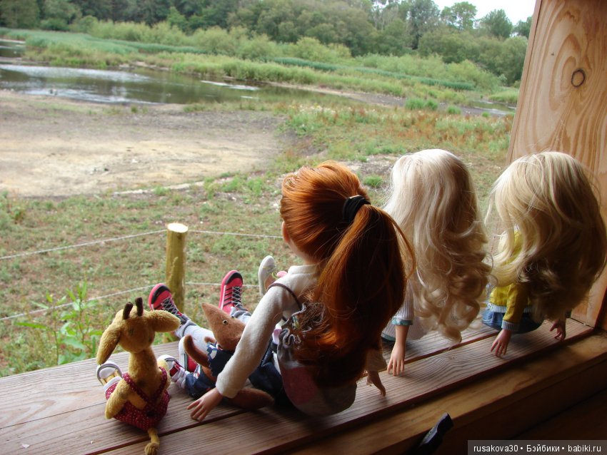 Маленький заповедник для птиц