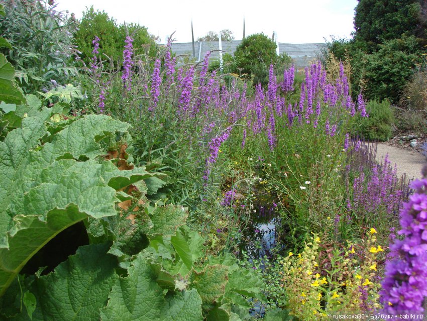 Маленький заповедник для птиц