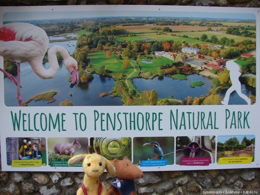 Маленький заповедник для птиц