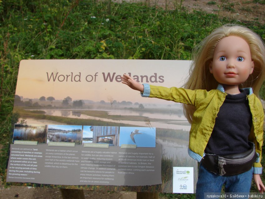 Маленький заповедник для птиц (фото 7)