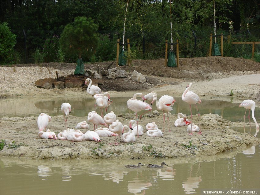 Маленький заповедник для птиц