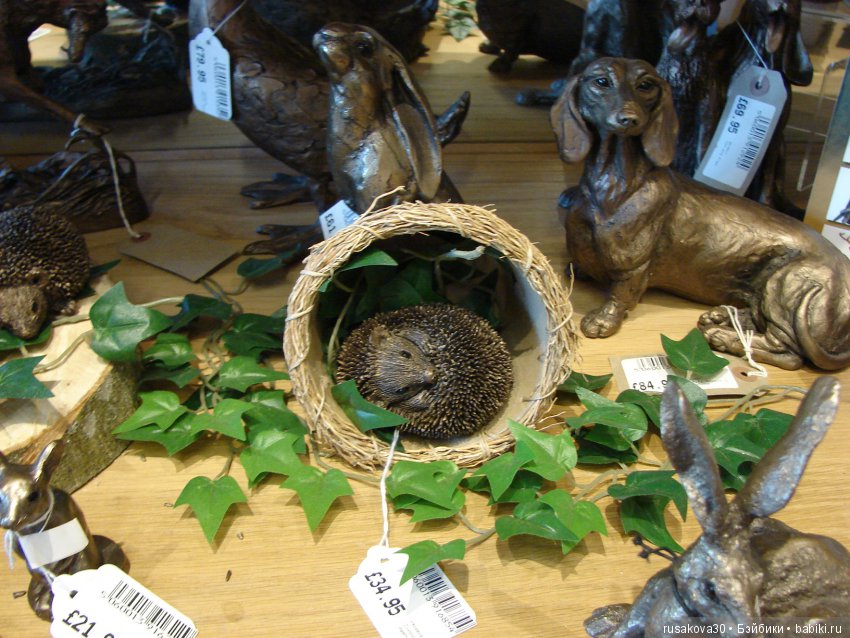 Маленький заповедник для птиц