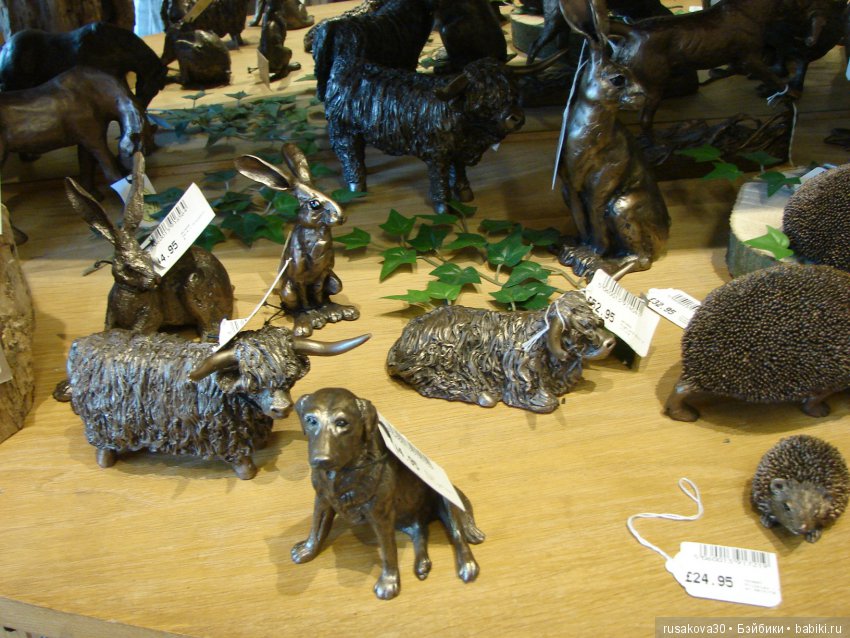 Маленький заповедник для птиц