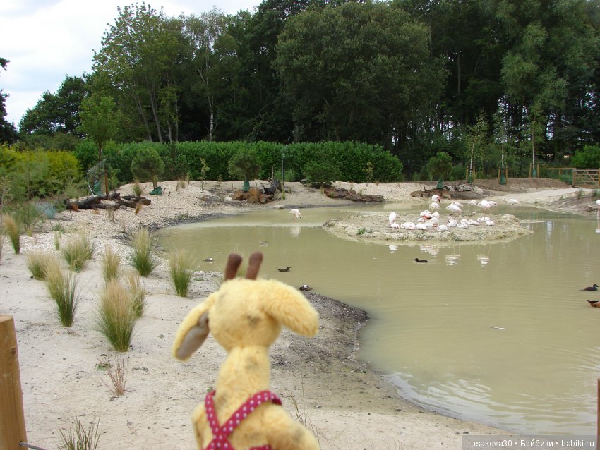 Маленький заповедник для птиц