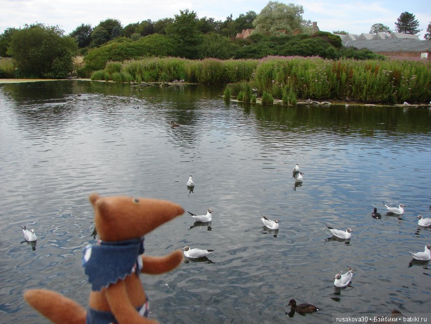 Маленький заповедник для птиц