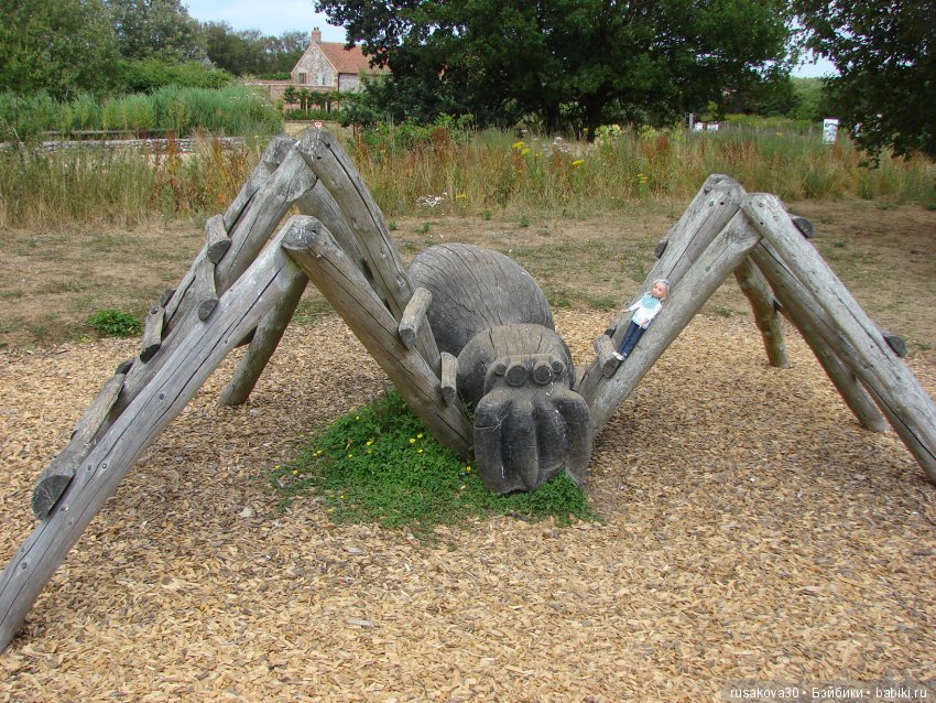 Маленький заповедник для птиц