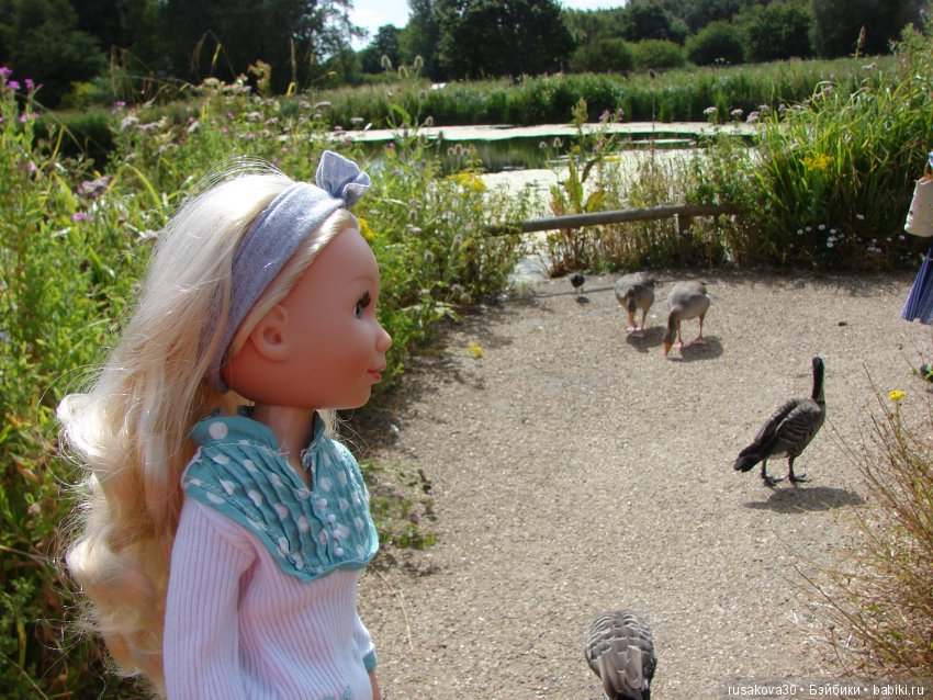 Маленький заповедник для птиц (фото 3)