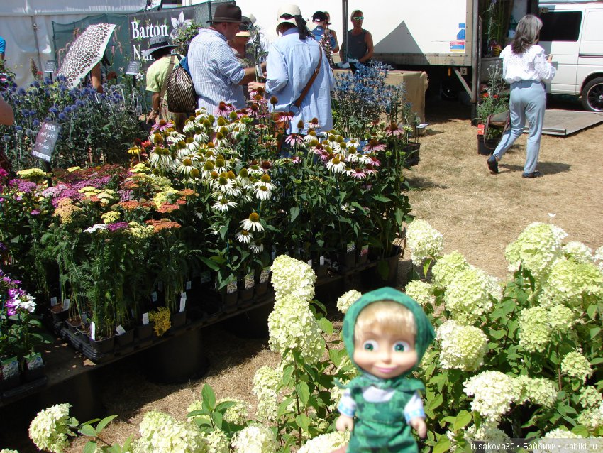 Цветочная ярмарка в королевском поместье