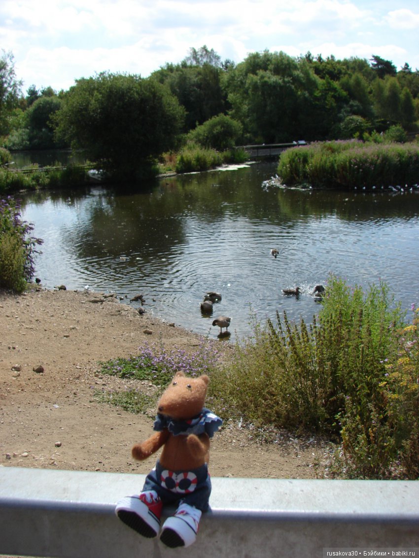 Маленький заповедник для птиц