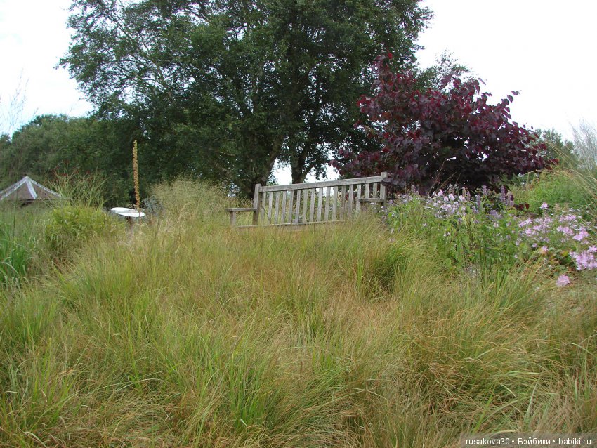 Маленький заповедник для птиц