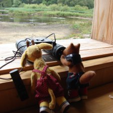 Маленький заповедник для птиц .