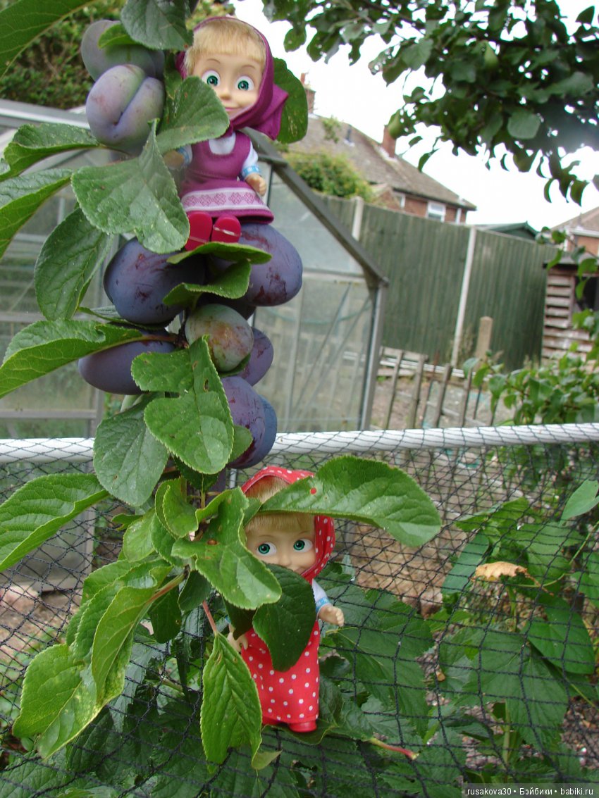 Борьба за урожай — Куклы Маша и Медведь (Simba): Маша в кармашке