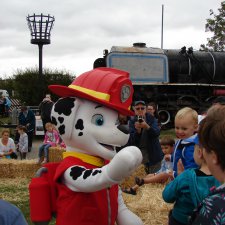 Щенячий патруль.