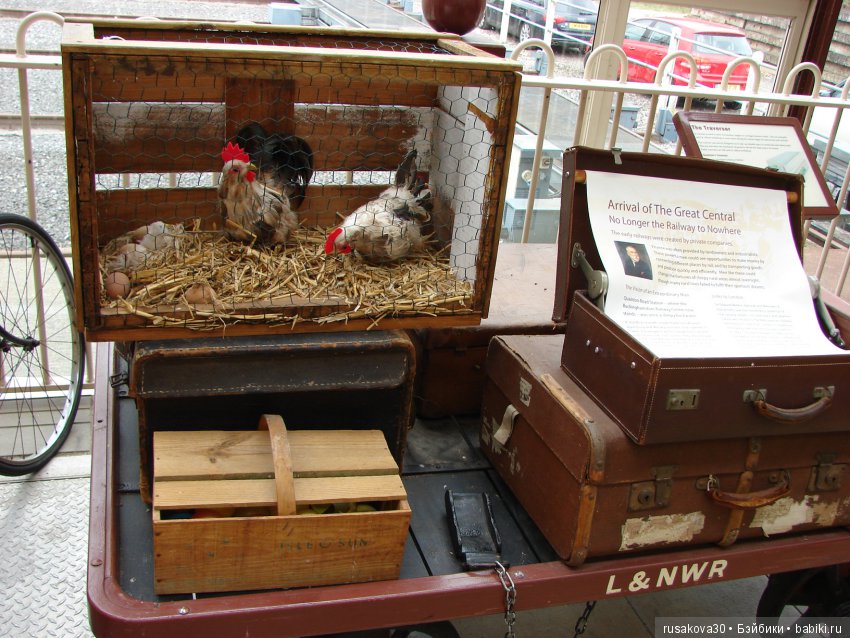 Щенячий патруль — Туризм и путешествия: фотоотчеты из поездок