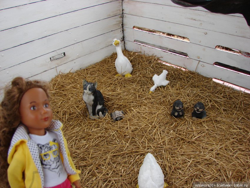 Щенячий патруль — Туризм и путешествия: фотоотчеты из поездок