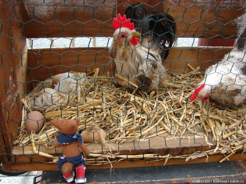 Щенячий патруль — Туризм и путешествия: фотоотчеты из поездок