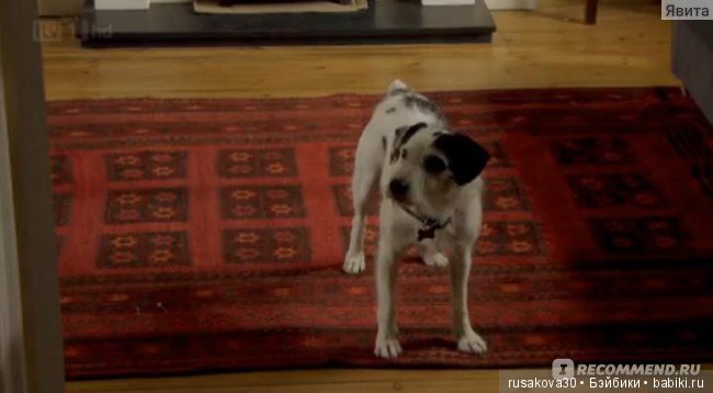 "Чисто английские убийства"