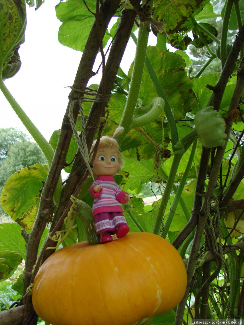 Продолжаем знакомиться с Туманным Альбионом, Canons Ashby