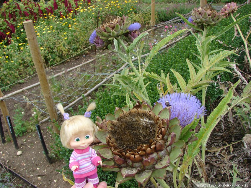 Продолжаем знакомиться с Туманным Альбионом, Canons Ashby