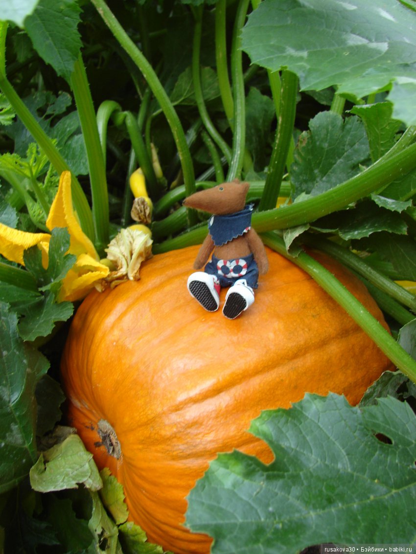 Продолжаем знакомиться с Туманным Альбионом, Canons Ashby