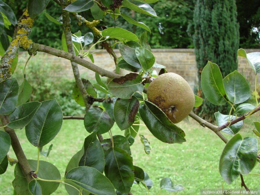 Продолжаем знакомиться с Туманным Альбионом, Canons Ashby