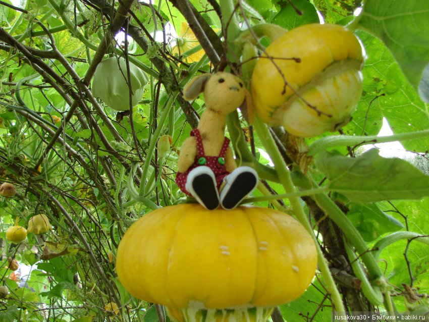 Продолжаем знакомиться с Туманным Альбионом, Canons Ashby