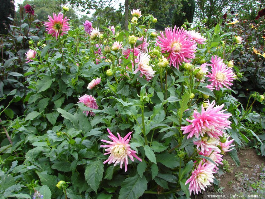 Продолжаем знакомиться с Туманным Альбионом, Canons Ashby