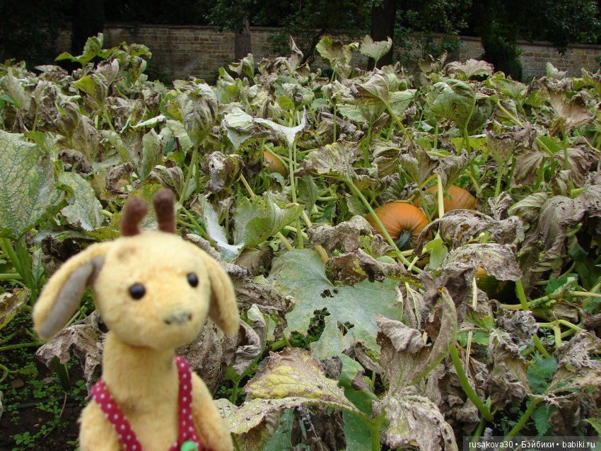 Продолжаем знакомиться с Туманным Альбионом, Canons Ashby