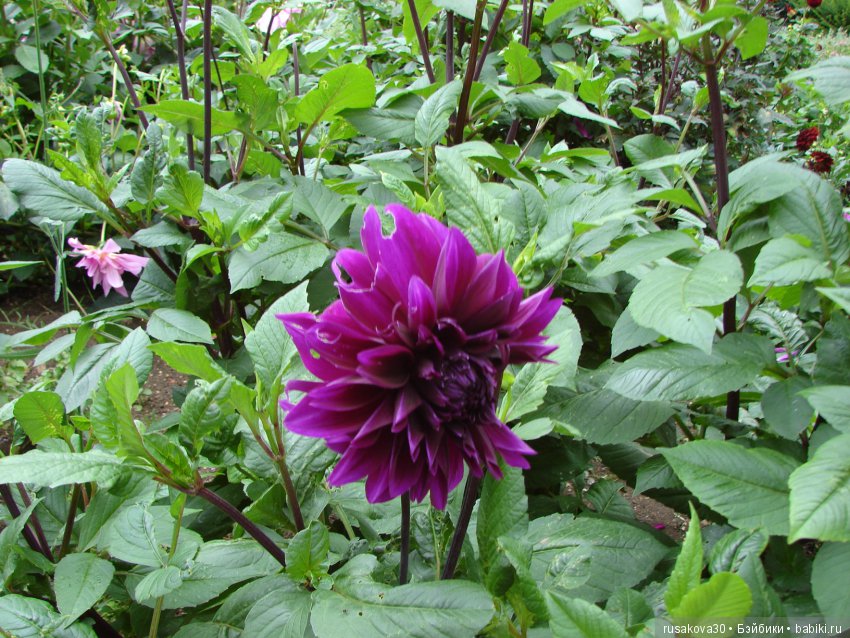 Продолжаем знакомиться с Туманным Альбионом, Canons Ashby