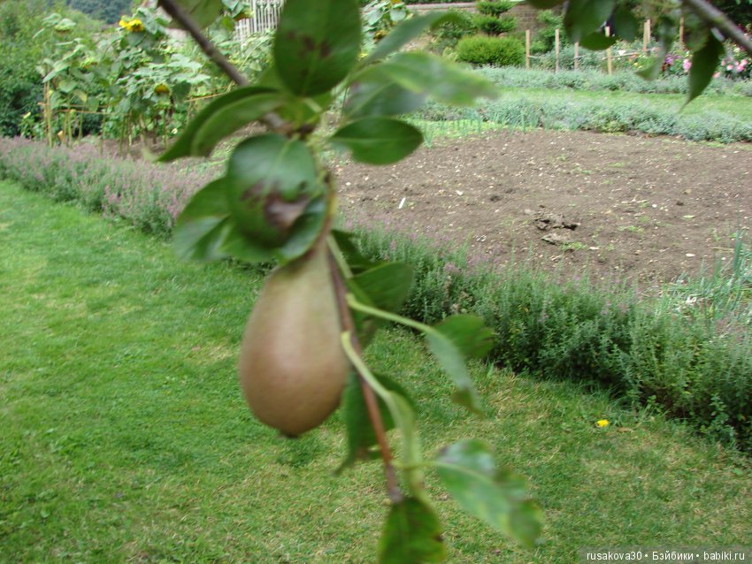 Продолжаем знакомиться с Туманным Альбионом, Canons Ashby