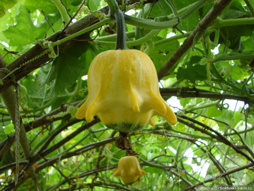 Продолжаем знакомиться с Туманным Альбионом, Canons Ashby