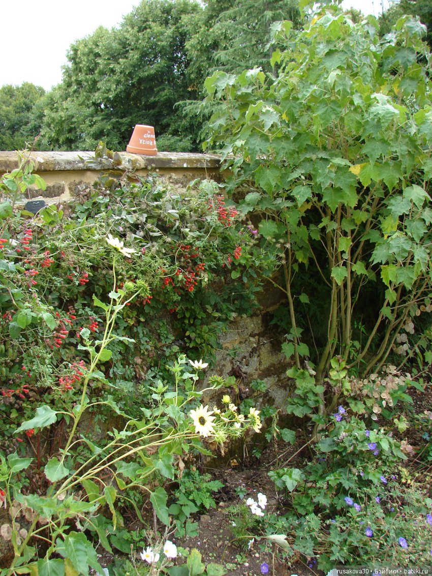 Продолжаем знакомиться с Туманным Альбионом, Canons Ashby